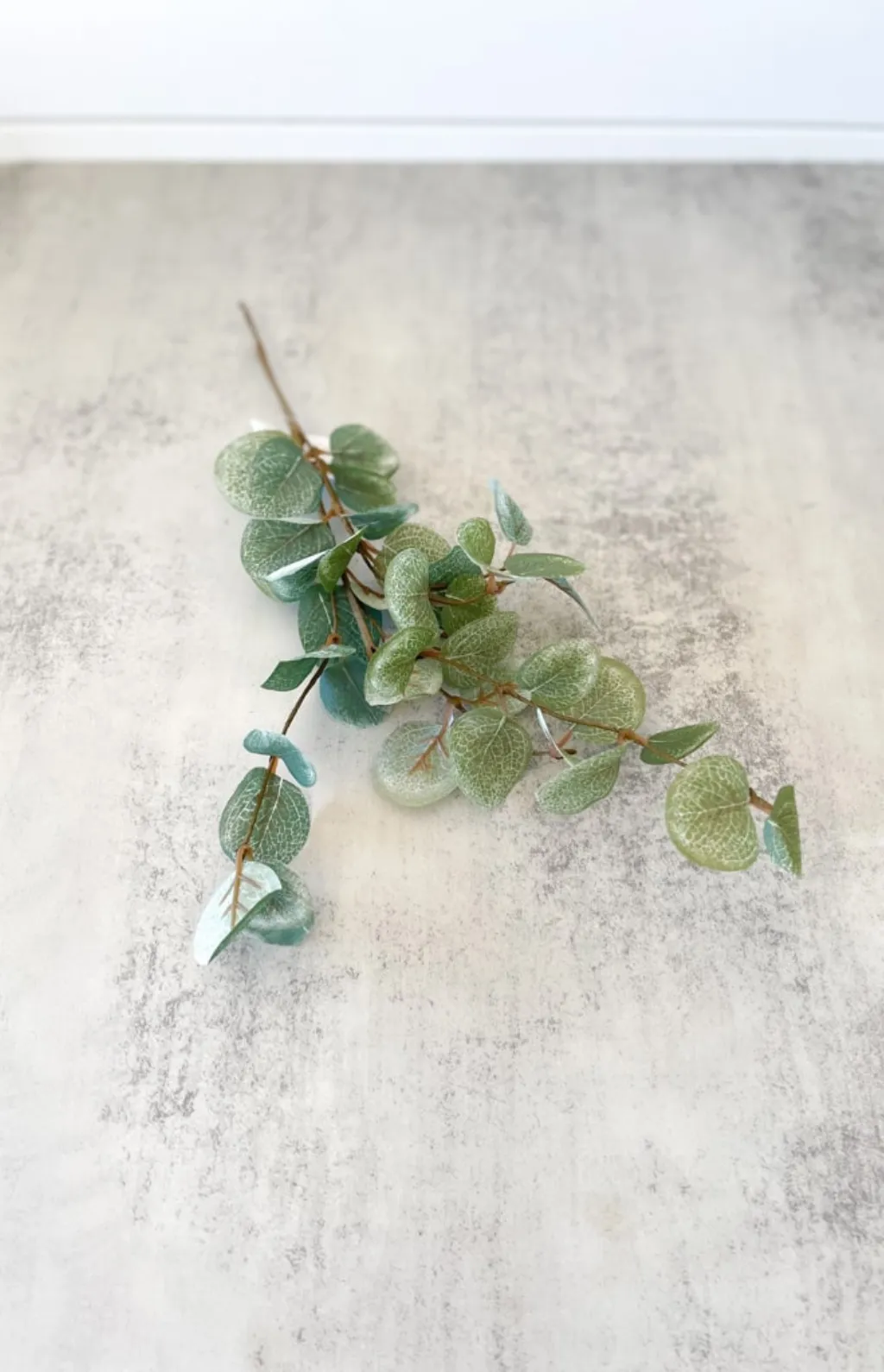 Garden Eucalyptus Single Pick