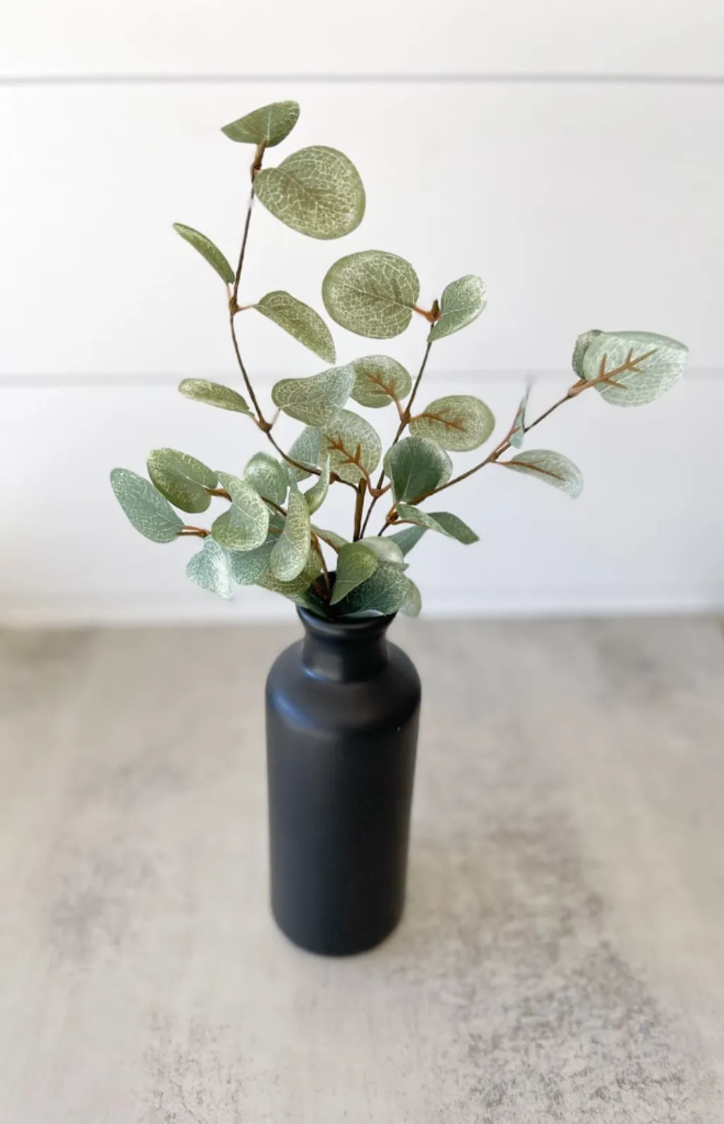 Garden Eucalyptus Single Pick