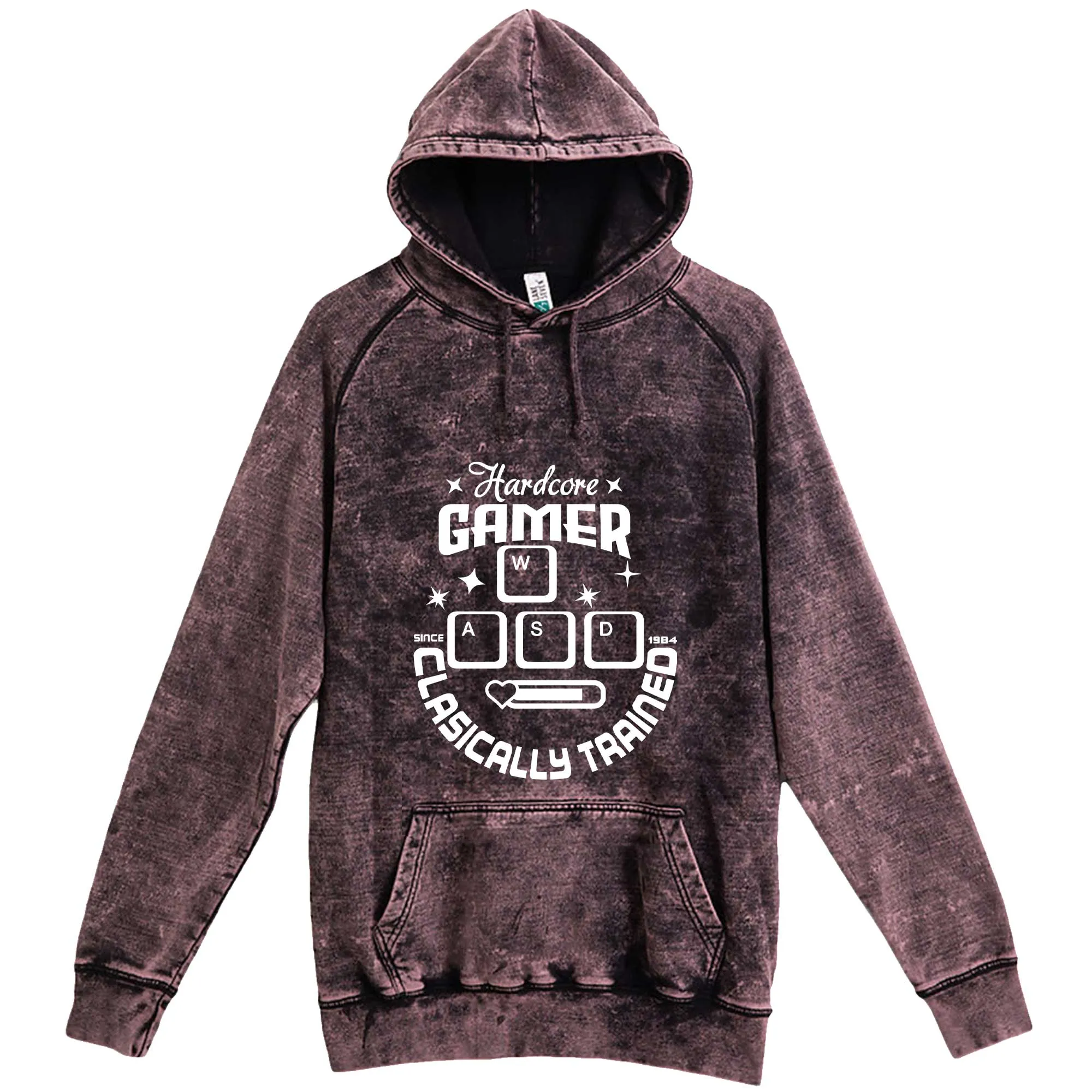 "Hardcore Gamer, Classically Trained" hoodie